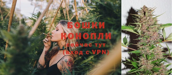 гашик Усинск