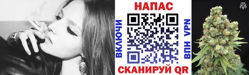 Купить  Ступино  Канабис планчик 